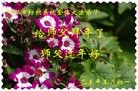 Published on 2/20/2015 ���ֹ�,����ҵ�󷨵��ӹ�ףʦ������(41��)
