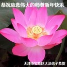 ֹ,󷨵ӹףʦ(28)
