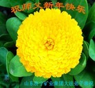 Published on 2/19/2015 ���ֹ�,����ҵ�󷨵��ӹ�ףʦ������(40��)
