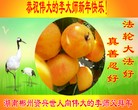 Published on 2/19/2015 ���ֹ�,��½���ڹ�ף��ʦ������ã�22����
