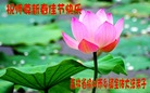 Published on 2/18/2015 ���ֹ�,���󷨵��ӹ�ףʦ������(27��)
