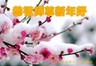 Published on 2/16/2015 ���ֹ�,��½�󷨵��ӹ�ףʦ������(42��)
