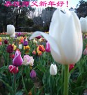 Published on 2/19/2015 ���ֹ�,�Ƿ���Ѻ�󷨵��ӹ�ףʦ������(30��)

