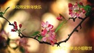 ֹ,Ĵ󷨵ӹףʦ(27)
