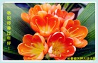 Published on 2/21/2015 ���ֹ�,��½�󷨵��ӹ�ףʦ������(86��)
