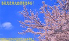 ֹ,󷨵ӹףʦ(29)
