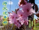 Published on 2/21/2015 ���ֹ�,��½�󷨵��ӹ�ףʦ������(129��)
