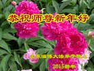 Published on 2/21/2015 ���ֹ�,��½�󷨵��ӹ�ףʦ������(30��)
