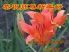 Published on 2/21/2015 ���ֹ�,��½�󷨵��ӹ�ףʦ������(30��)
