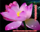 Published on 2/21/2015 ���ֹ�,���󷨵��ӹ�ףʦ������(32��)
