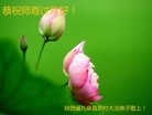Published on 2/21/2015 ���ֹ�,���󷨵��ӹ�ףʦ������(33��)
