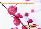 Published on 2/21/2015 ���ֹ�,��½�󷨵��ӹ�ףʦ������(80��)
