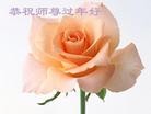 Published on 2/16/2015 ���ֹ�,��½�󷨵��ӹ�ףʦ������(41��)
