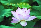 Published on 2/16/2015 ���ֹ�,��½�󷨵��ӹ�ףʦ������(41��)
