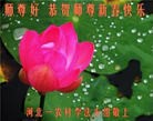 Published on 2/21/2015 ���ֹ�,���󷨵��ӹ�ףʦ�������(30��)
