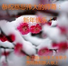 Published on 2/21/2015 ���ֹ�,��½�󷨵��ӹ�ףʦ������(129��)
