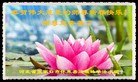 Published on 2/21/2015 ���ֹ�,��½�󷨵��ӹ�ףʦ������(80��)
