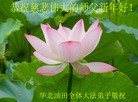 Published on 2/19/2015 ���ֹ�,����ҵ�󷨵��ӹ�ףʦ������(40��)
