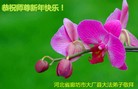 Published on 2/19/2015 ���ֹ�,����ҵ�󷨵��ӹ�ףʦ������(40��)

