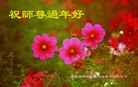 Published on 2/18/2015 ���ֹ�,��½�󷨵��ӹ�ףʦ������(39��)
