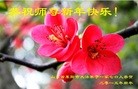 Published on 2/21/2015 ���ֹ�,��½�󷨵��ӹ�ףʦ������(68��)

