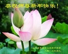 Published on 2/21/2015 ���ֹ�,��½�󷨵��ӹ�ףʦ������(68��)
