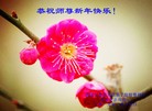 Published on 2/16/2015 ���ֹ�,��½�󷨵��ӹ�ףʦ������(33��)
