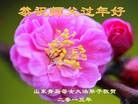 Published on 2/16/2015 ���ֹ�,��½�󷨵��ӹ�ףʦ������(33��)
