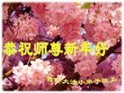 Published on 2/21/2015 ���ֹ�,��½�󷨵��ӹ�ףʦ������(70��)
