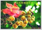 Published on 2/21/2015 ���ֹ�,��½�󷨵��ӹ�ףʦ������(95��)
