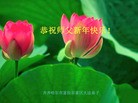Published on 2/21/2015 ���ֹ�,��½�󷨵��ӹ�ףʦ������(70��)
