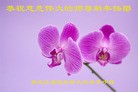 Published on 2/21/2015 ���ֹ�,��½�󷨵��ӹ�ףʦ������(30��)
