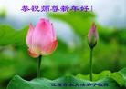 Published on 2/19/2015 ���ֹ�,��½�󷨵��ӹ�ףʦ������(43��)
