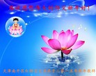 Published on 2/16/2015 ���ֹ�,��½�󷨵��ӹ�ףʦ������(41��)
