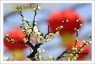 Published on 2/19/2015 ���ֹ�,��½�󷨵��ӹ�ףʦ������(44��)
