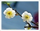 Published on 2/19/2015 ���ֹ�,��½�󷨵��ӹ�ףʦ������(44��)
