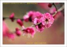 Published on 2/19/2015 ���ֹ�,��½�󷨵��ӹ�ףʦ������(44��)
