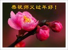 Published on 2/19/2015 ���ֹ�,��½�󷨵��ӹ�ףʦ������(44��)
