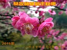 Published on 2/19/2015 ���ֹ�,��½�󷨵��ӹ�ףʦ������(44��)
