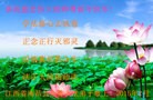 Published on 2/21/2015 ���ֹ�,��½�󷨵��ӹ�ףʦ������(19��)
