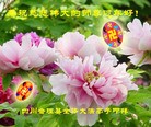 ֹ,Ĵ󷨵ӹףʦ(21)
