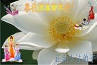 Published on 2/16/2015 ���ֹ�,��½�󷨵��ӹ�ףʦ������(46��)
