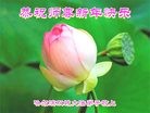 Published on 2/16/2015 ���ֹ�,��½�󷨵��ӹ�ףʦ������(31��)
