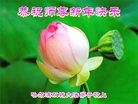 Published on 2/16/2015 ���ֹ�,��½�󷨵��ӹ�ףʦ������(31��)
