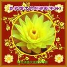 ���ֹ�,�ӱ��󷨵��ӹ�ףʦ������(22��)
