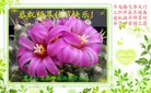 Published on 2/16/2015 ���ֹ�,��½�󷨵��ӹ�ףʦ������(35��)
