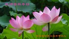 ֹ,󷨵ӹףʦ(27)
