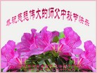 Published on 9/27/2015 ���ֹ�,��½�󷨵��ӹ�ףʦ�������(25��)
