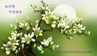 ֹ,󷨵ӹףʦ(25)
