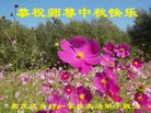 Published on 9/26/2015 ���ֹ�,���󷨵��ӹ�ףʦ�������(27��)
